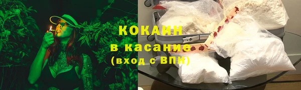 ПСИЛОЦИБИНОВЫЕ ГРИБЫ Инсар