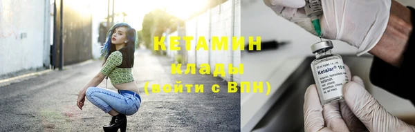ПСИЛОЦИБИНОВЫЕ ГРИБЫ Инсар