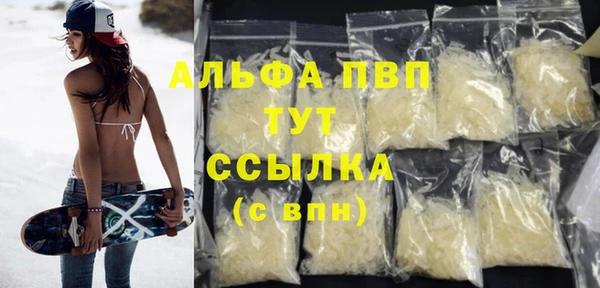 ПСИЛОЦИБИНОВЫЕ ГРИБЫ Инсар