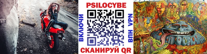Галлюциногенные грибы GOLDEN TEACHER Курчалой