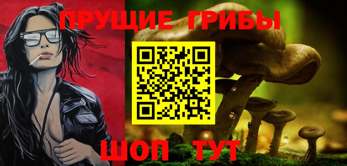 Курчалой  Галлюциногенные грибы ЛСД  Псилоцибиновые грибы Cubensis  Вход с VPN 