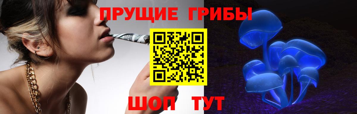 Псилоцибиновые грибы GOLDEN TEACHER Курчалой