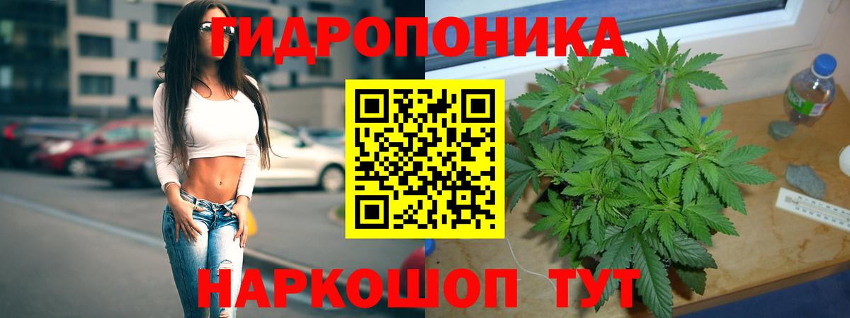 Бошки марихуана VHQ  МАРИХУАНА AK-47  Курчалой  Вход с VPN 